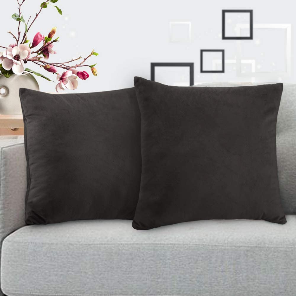 iCOVER Throw Pillow Covers Pack of 2, Square Velvet Decorative Cushion Cases, Soft Throw Pillow Cases for Couch Sofa Bed Bench Car,16"x16",Beige