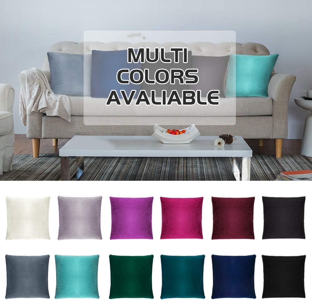 iCOVER Throw Pillow Covers Pack of 2, Square Velvet Decorative Cushion Cases, Soft Throw Pillow Cases for Couch Sofa Bed Bench Car,16"x16",Beige