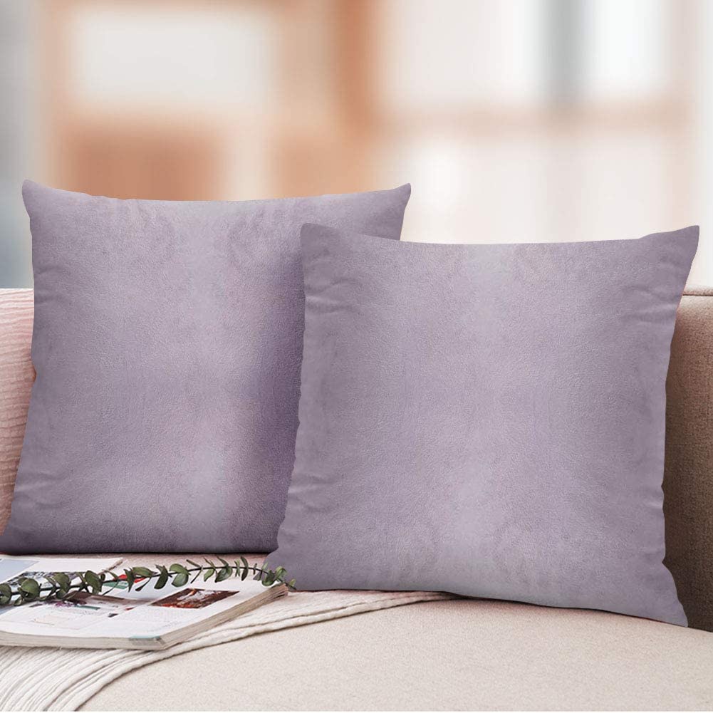 iCOVER Throw Pillow Covers Pack of 2, Square Velvet Decorative Cushion Cases, Soft Throw Pillow Cases for Couch Sofa Bed Bench Car,16"x16",Beige