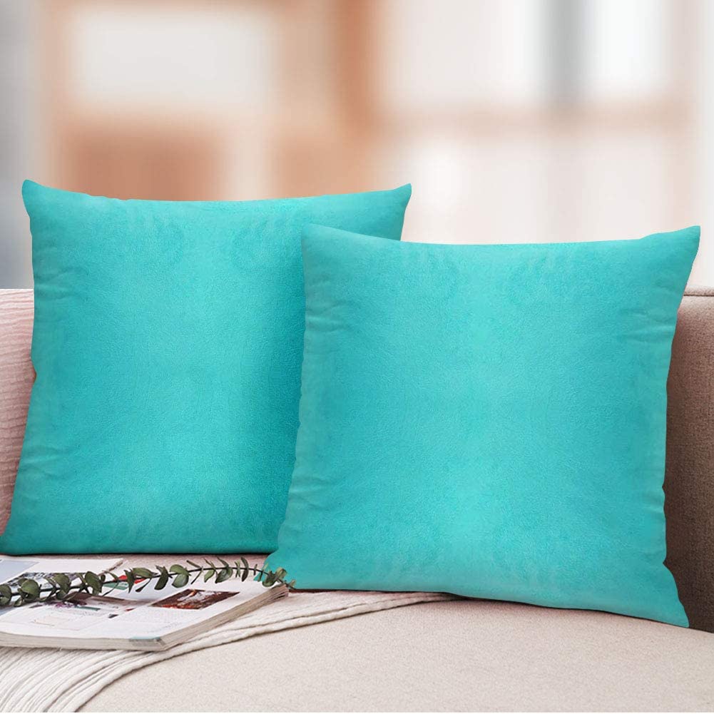 iCOVER Throw Pillow Covers Pack of 2, Square Velvet Decorative Cushion Cases, Soft Throw Pillow Cases for Couch Sofa Bed Bench Car,16"x16",Beige