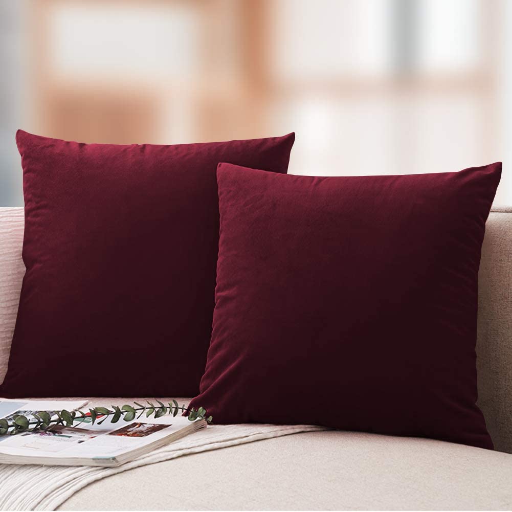 B1795 Pack of 4 Soft Velvet Decorative Throw Pillow Covers Square Cushion  Cases Pillowcases for Couch Car Living Room Baby Room Sofa Bedroom 16x16  Inch : : Home & Kitchen