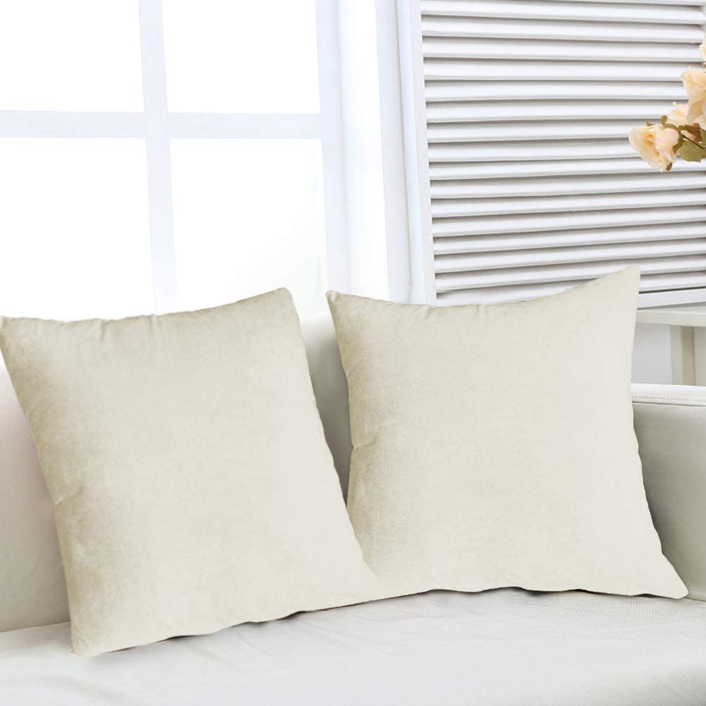 Lumbar Pillow Covers - Decorative Pillows for Sofa, Couch, Bed ( Pack of 2)