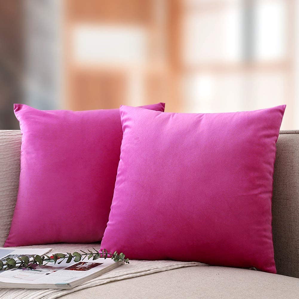 MoonRest - Pack of 2, Velvet Decorative Pillow Cover Set, Cozy Soft with  Hidden Zipper Solid Color for Sofa Bedroom Car Couch Throw Pillow 16 x 16